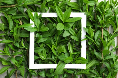 Square frame on twigs with fresh green leaves