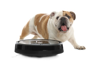 Photo of Robotic vacuum cleaner and adorable dog on white background