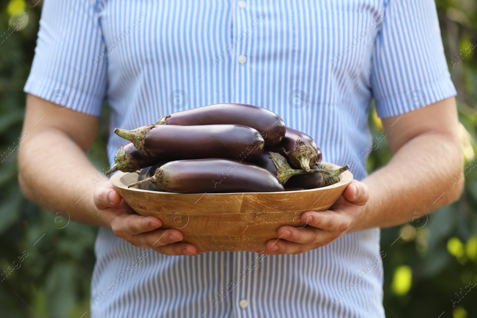 Photo of Man holding wooden bowl with ripe eggplants on blurred green background, closeup