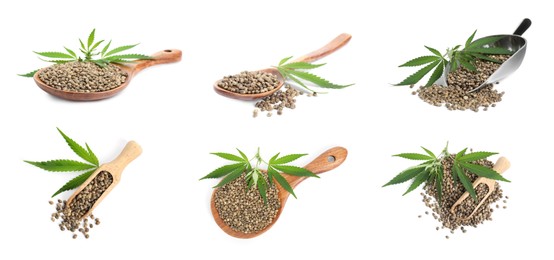 Set with hemp seeds on white background. Banner design