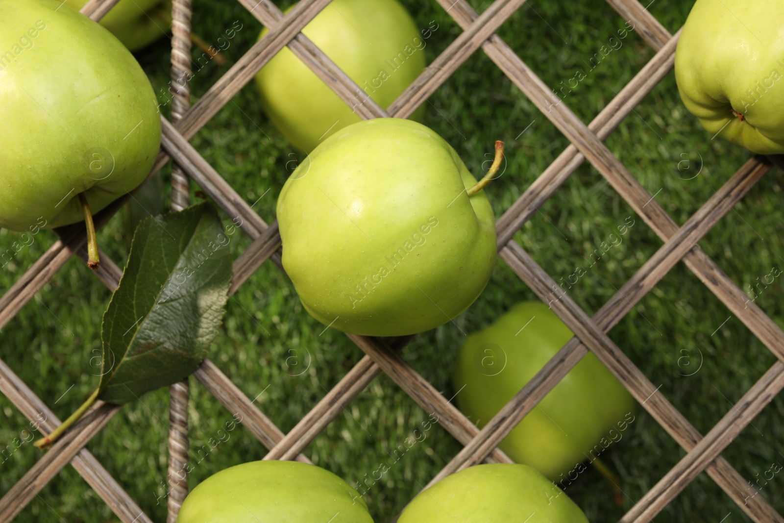 Photo of Fresh green apples on rattan grid, top view