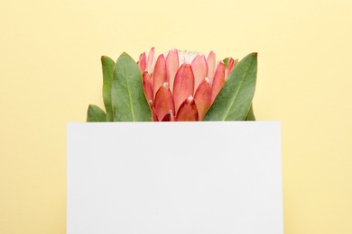 Photo of Creative composition with tropical flower and card on color background, top view