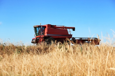 Photo of Modern combine harvester in wheat field. Cereal grain crop