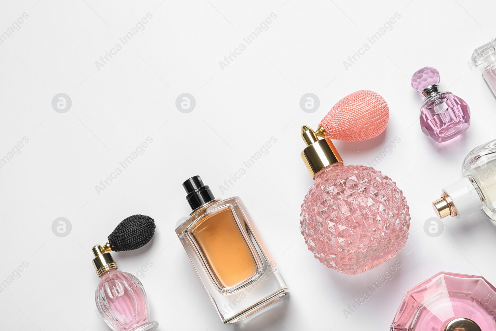 Photo of Different luxury perfume bottles on white background, top view