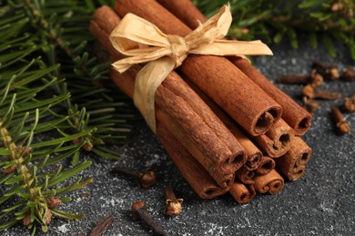 Different spices. Aromatic cinnamon sticks, clove seeds and fir branches on dark gray textured table, closeup