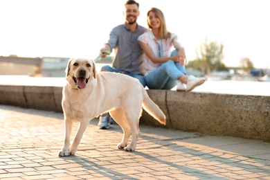 Photo of Cute yellow labrador retriever with owners outdoors