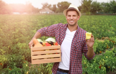 Farmer with wooden crate full of different vegetables in field. Harvesting time