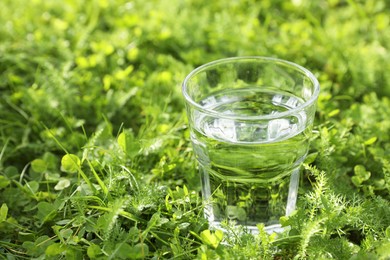 Glass of fresh water on green grass outdoors, closeup. Space for text