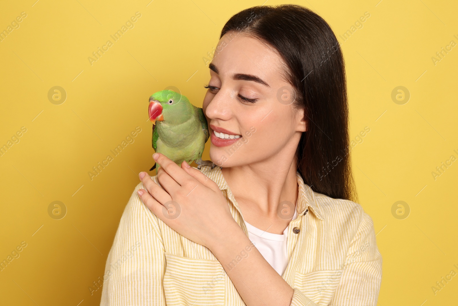 Photo of Young woman with Alexandrine parakeet on yellow background. Cute pet