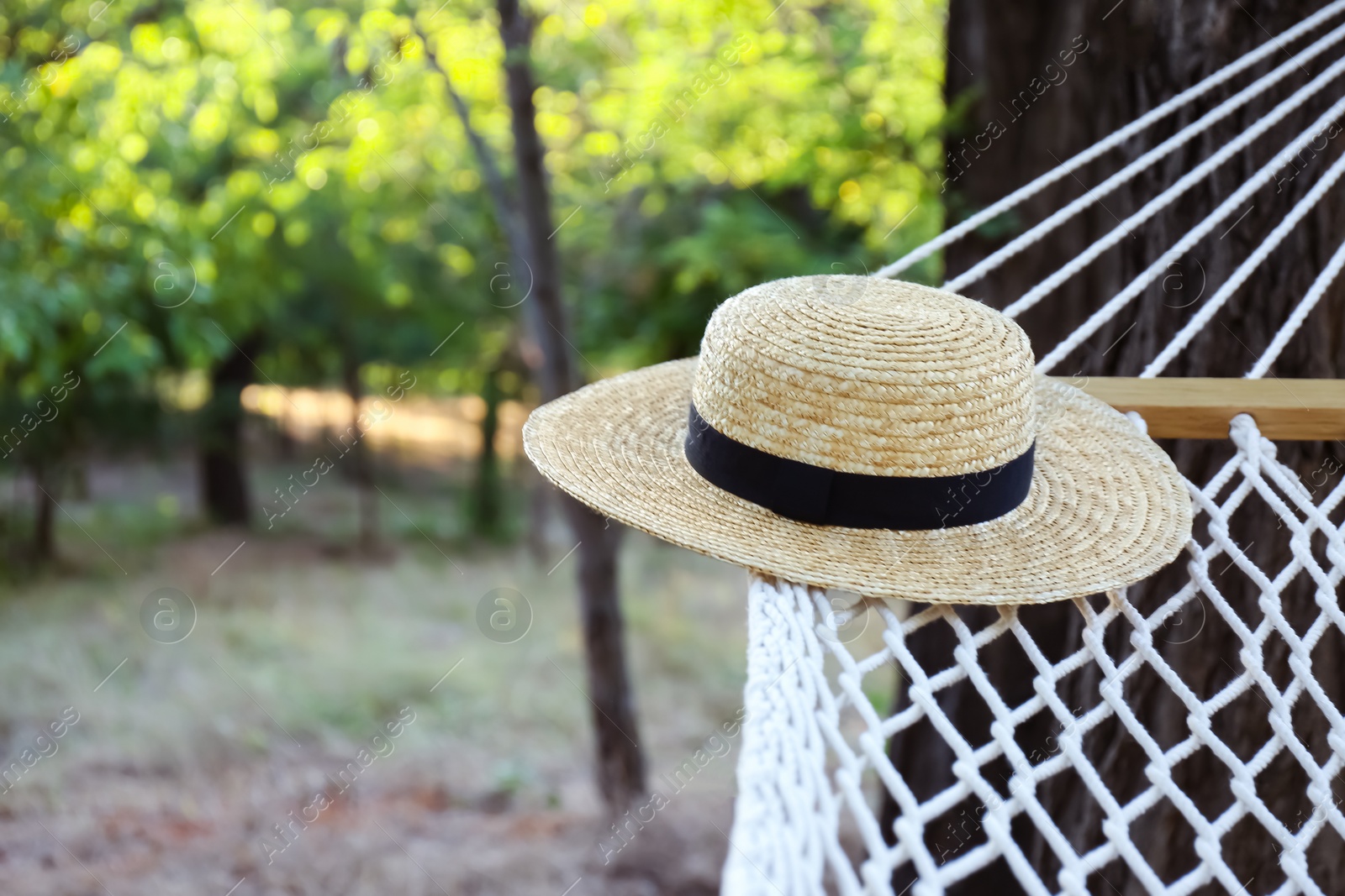Photo of Comfortable net hammock and hat at green garden, closeup