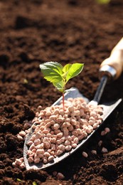 Photo of Shovel with fertilizer and seedling on soil, closeup