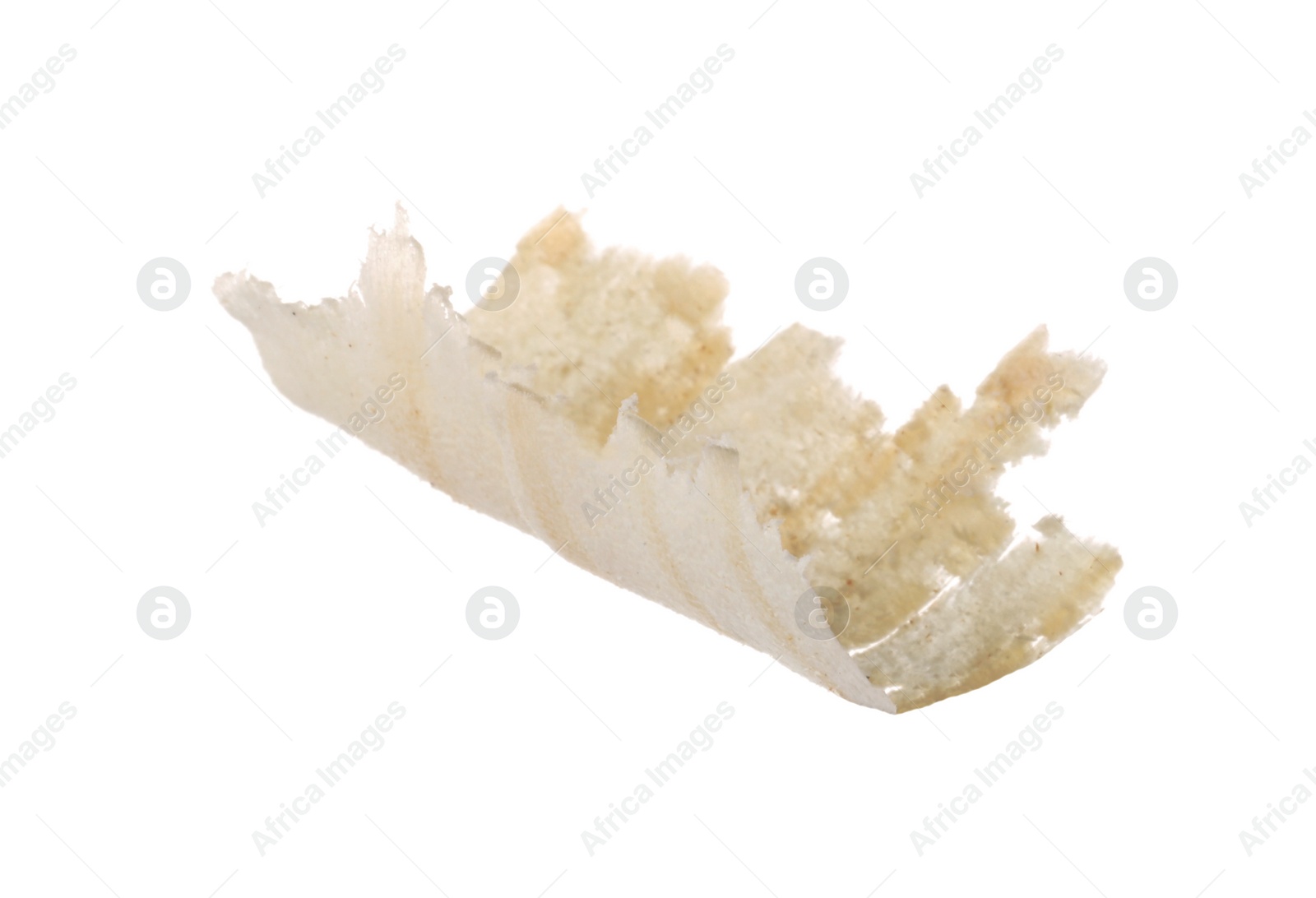 Photo of One chip of wood isolated on white