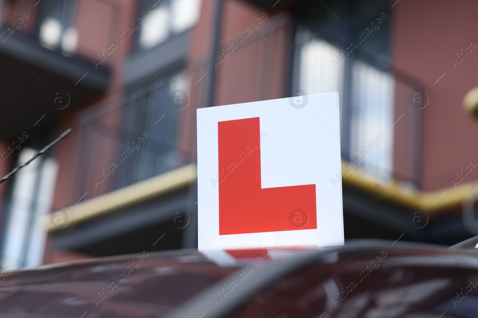 Photo of L-plate on car roof outdoors. Driving school