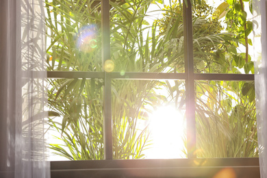 Photo of Beautiful view through window on garden in morning