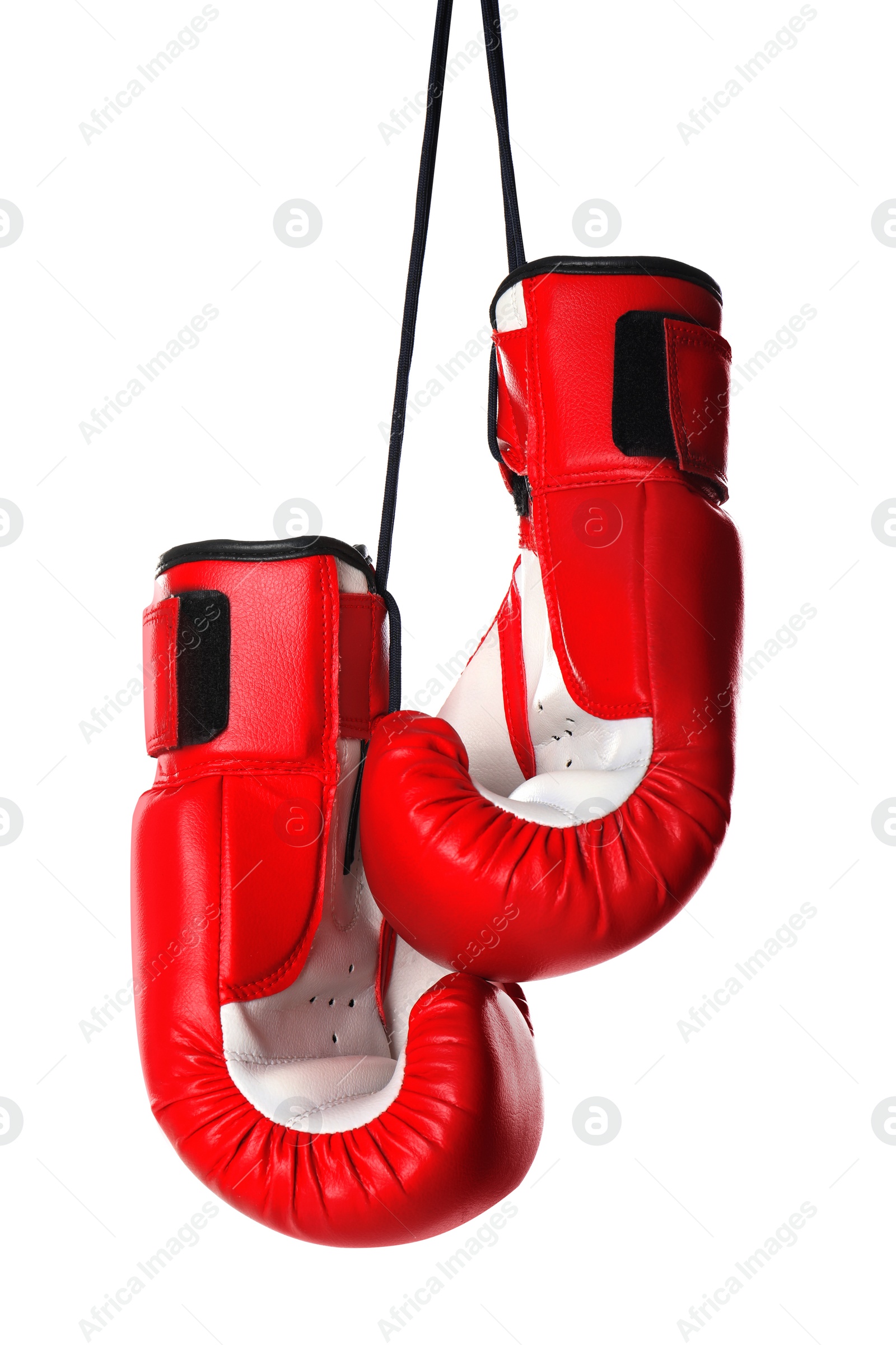 Photo of Pair of boxing gloves on white background