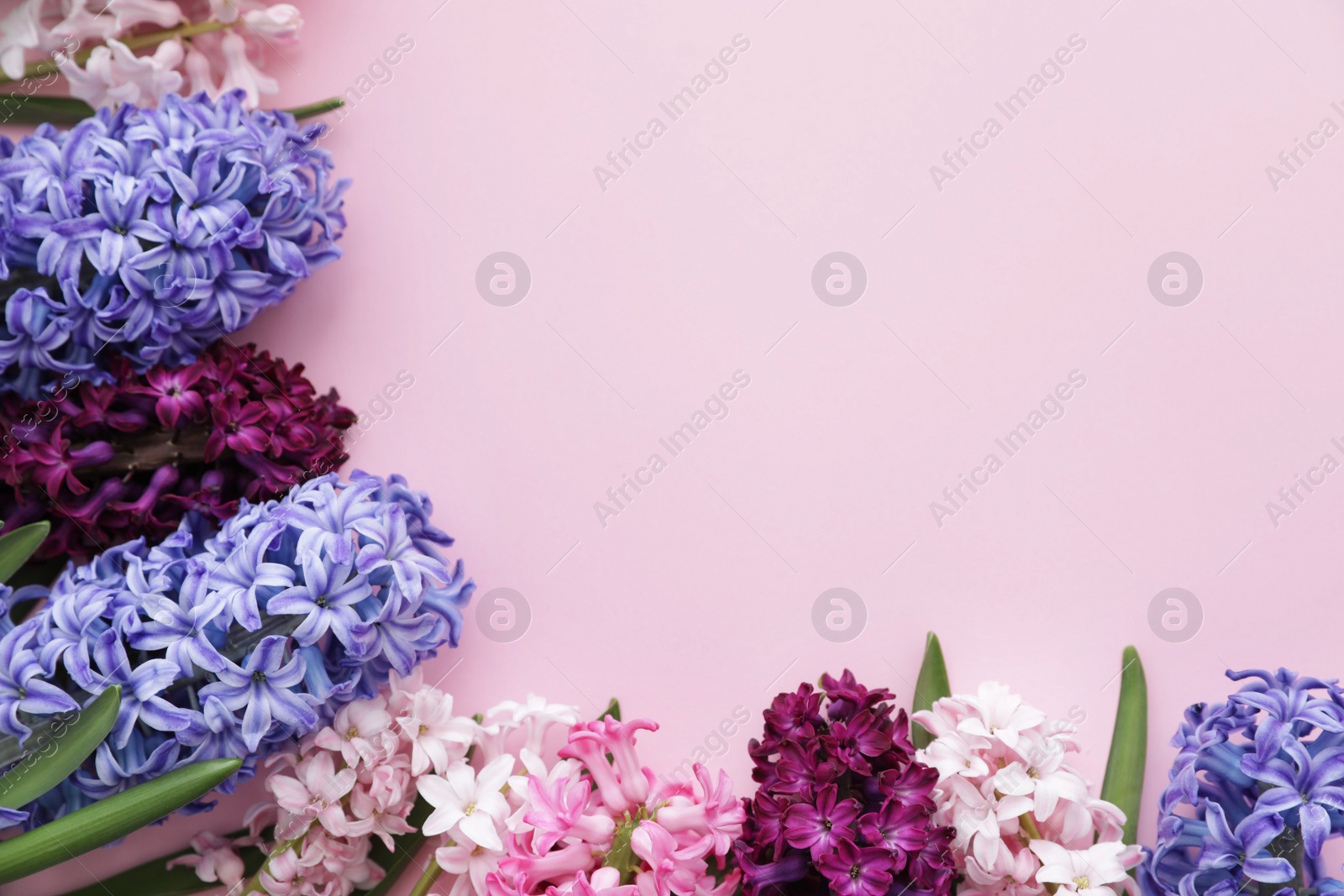 Photo of Frame made of spring hyacinth flowers on color background, top view. Space for text