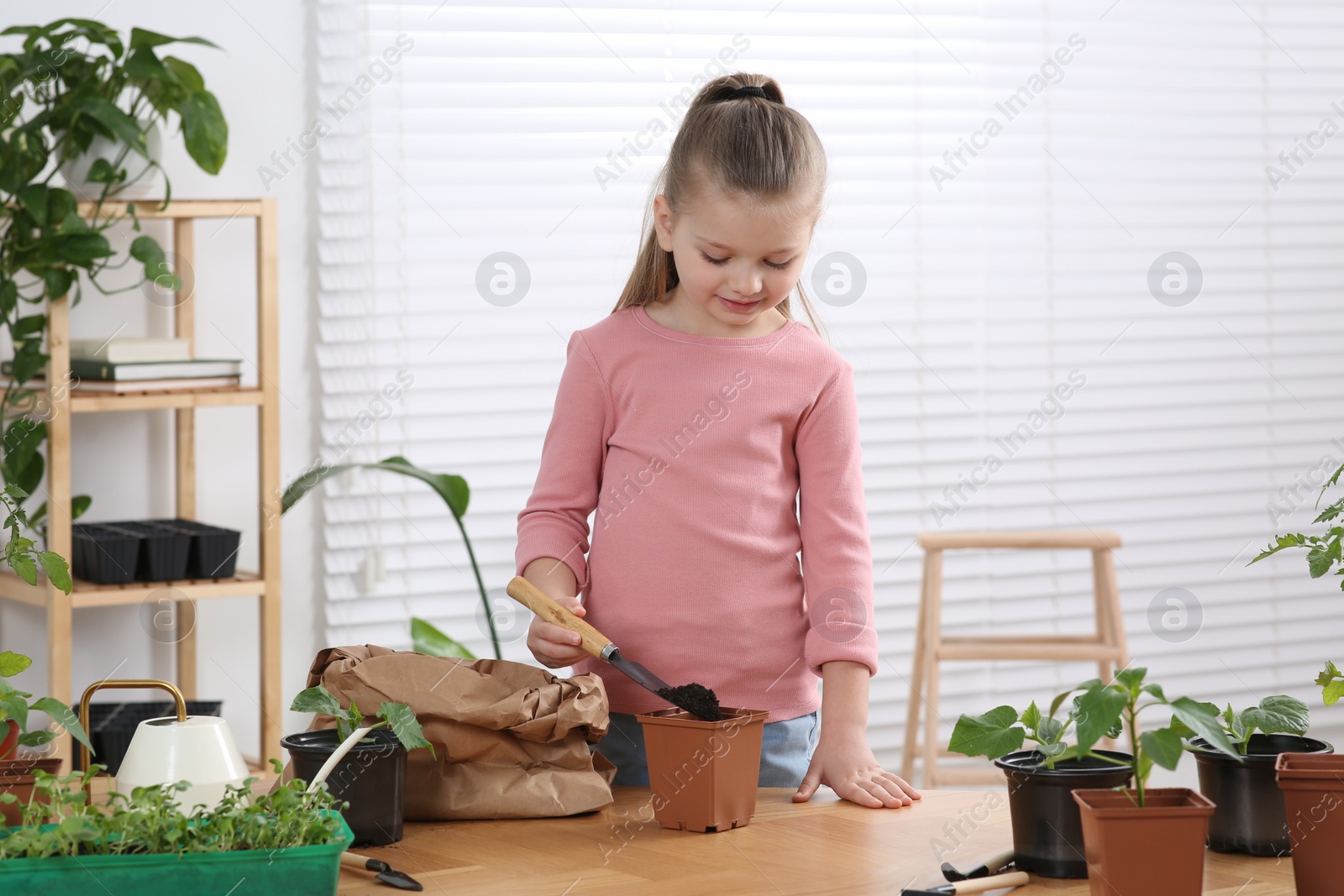 Photo of Cute little girl planting seedling into pot at wooden table in room