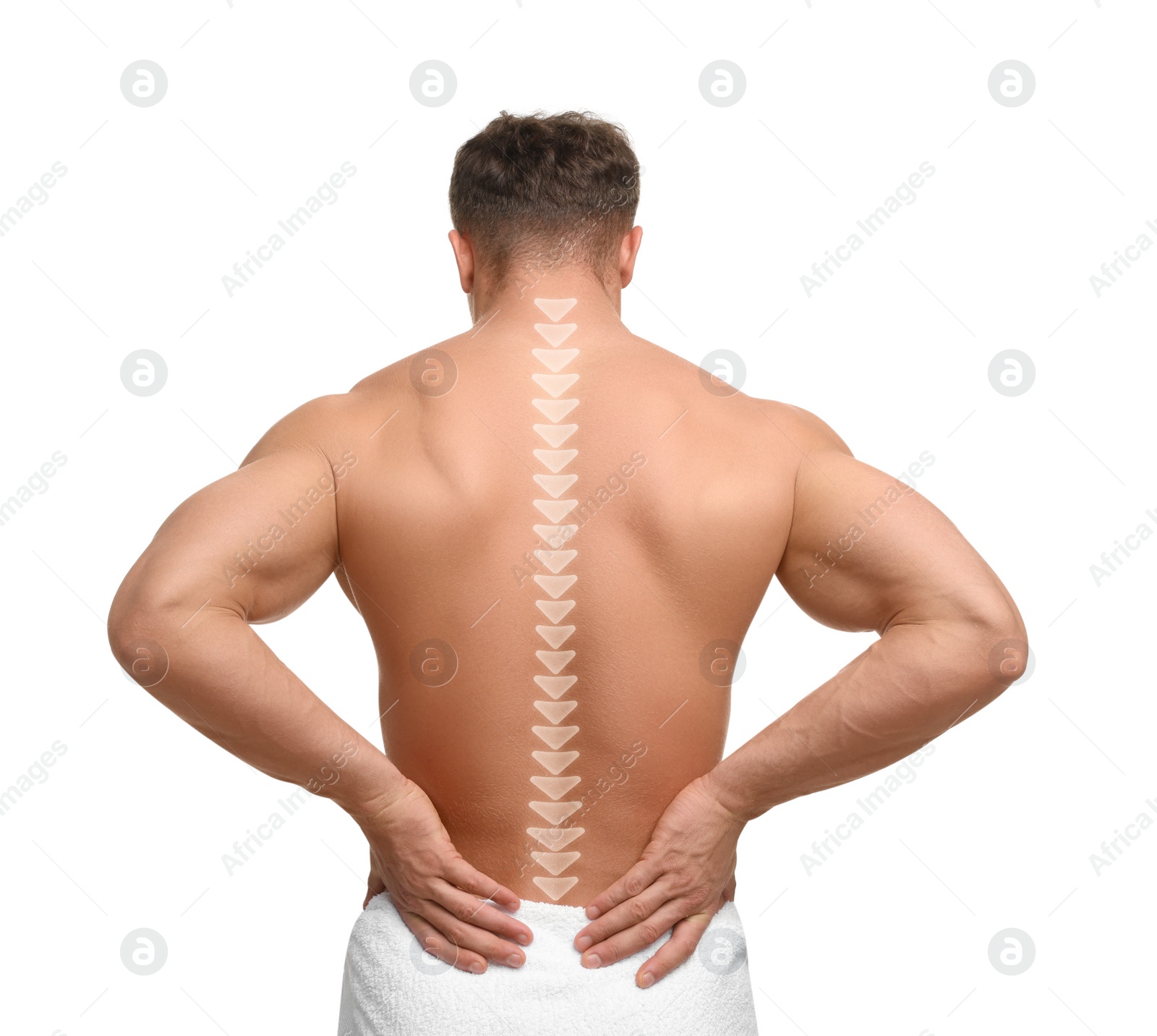 Image of Muscular man on white background, back view. Illustration of spine