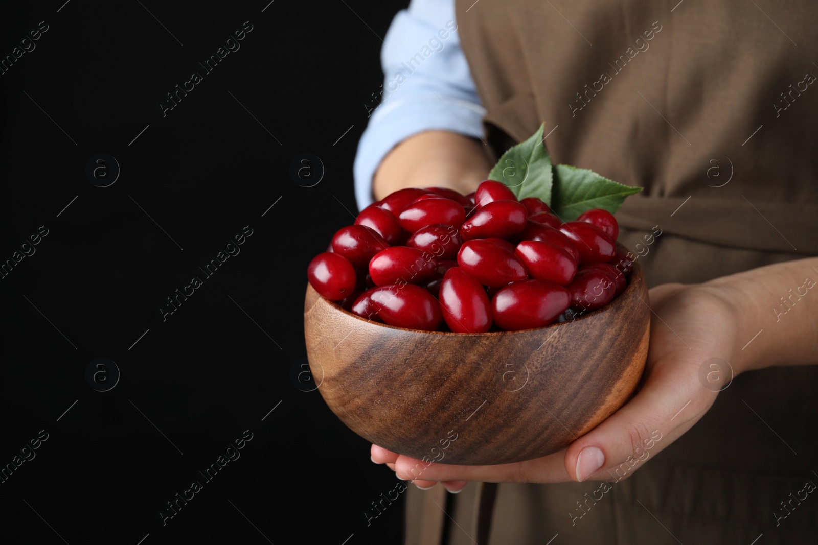 Photo of Woman with wooden bowl of fresh ripe dogwood berries on black background, closeup. Space for text
