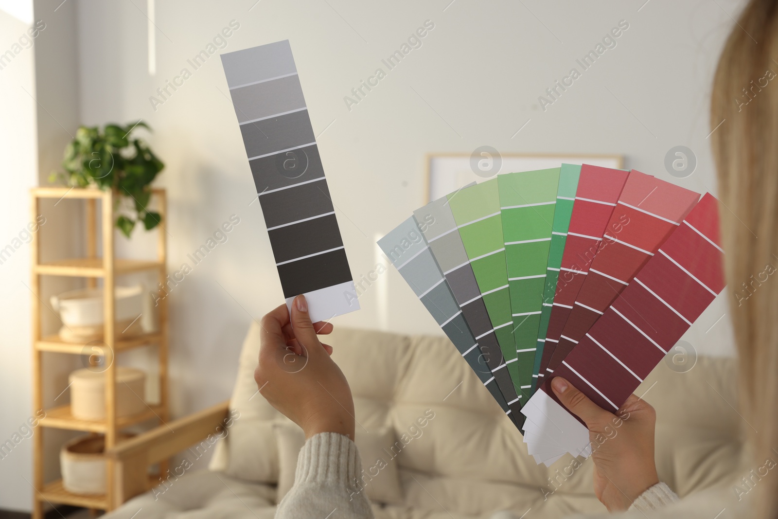 Photo of Woman choosing color for wall in room, focus on hands with paint chips. Interior design