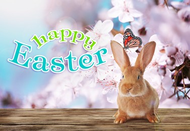 Image of Happy Easter. Adorable bunny on wooden table outdoors