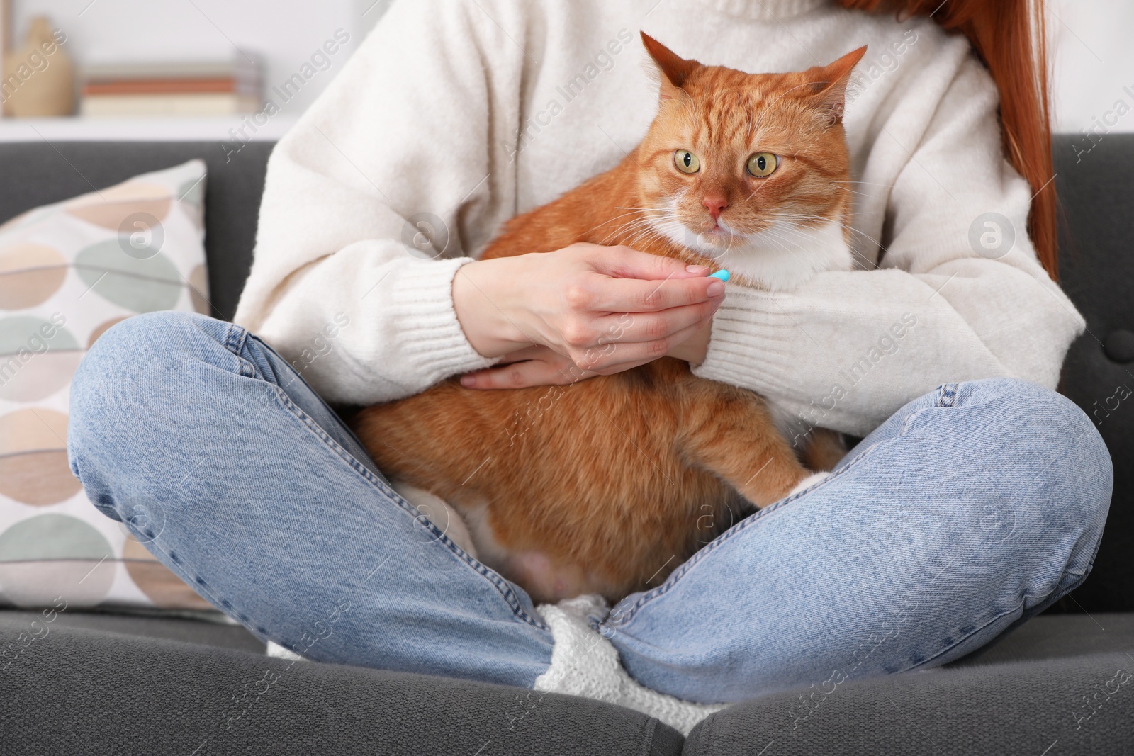 Photo of Woman giving pill to cute cat on sofa indoors, closeup