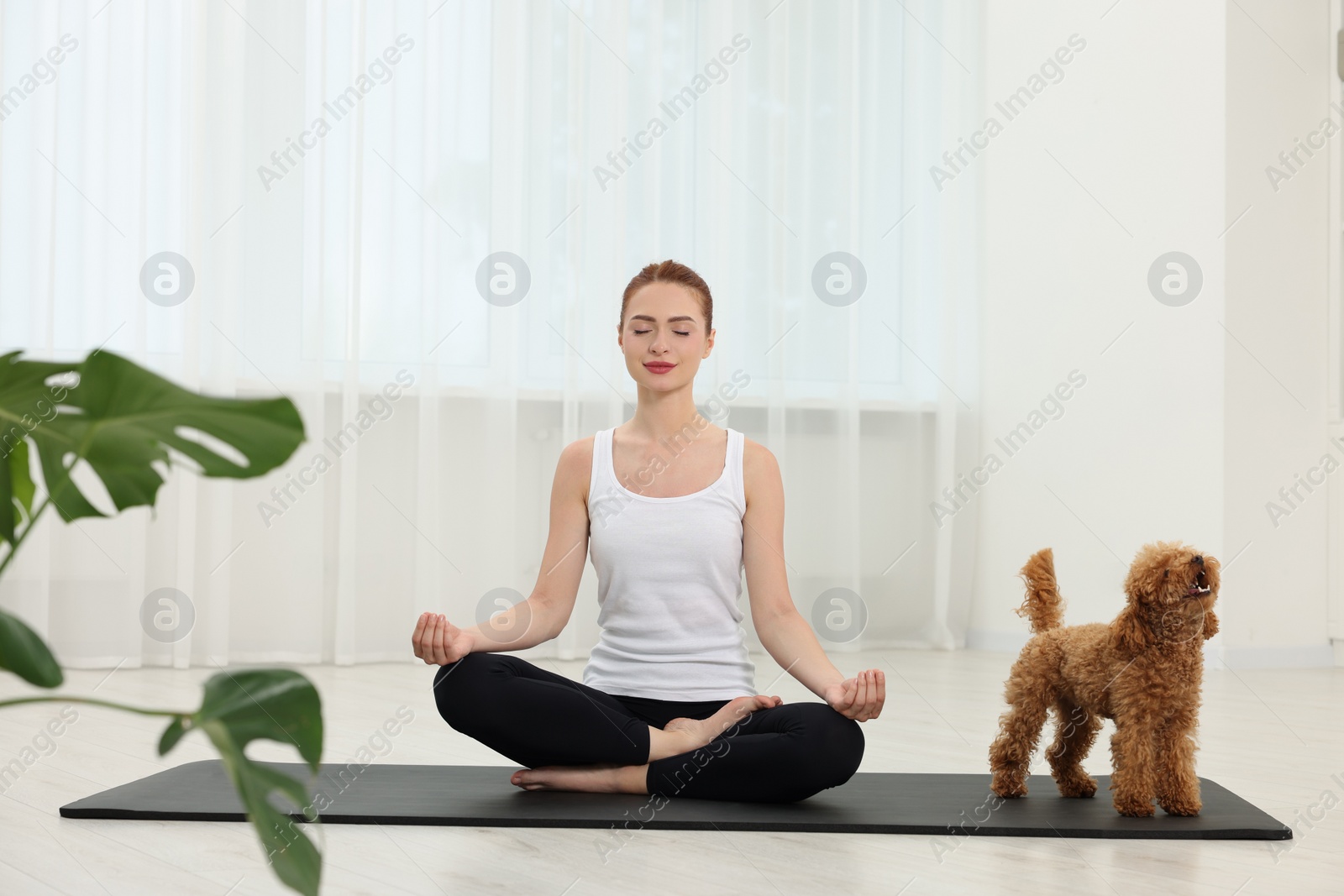 Photo of Young woman practicing yoga on mat with her cute dog indoors