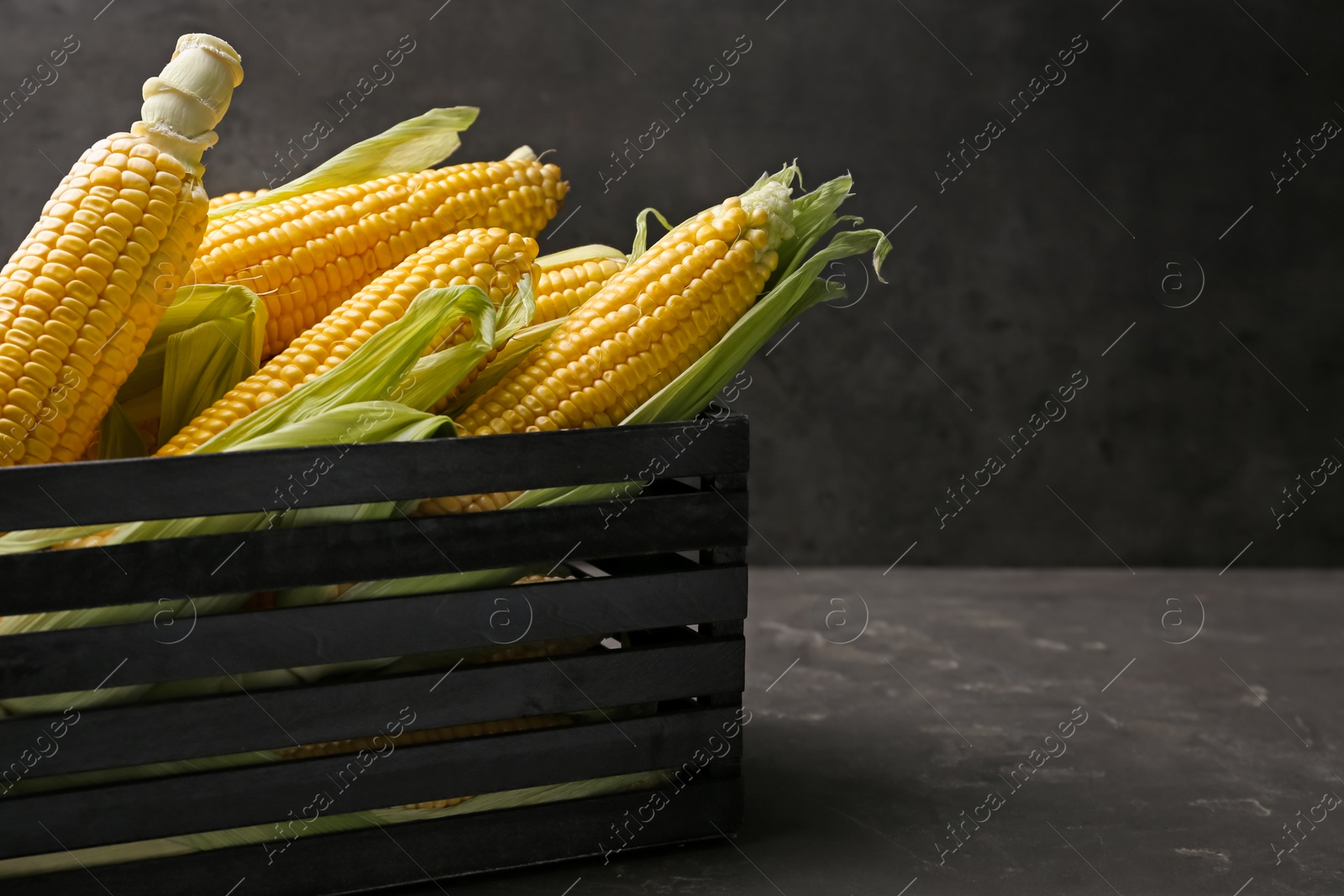 Photo of Wooden crate with tasty fresh corn cobs on grey table, space for text