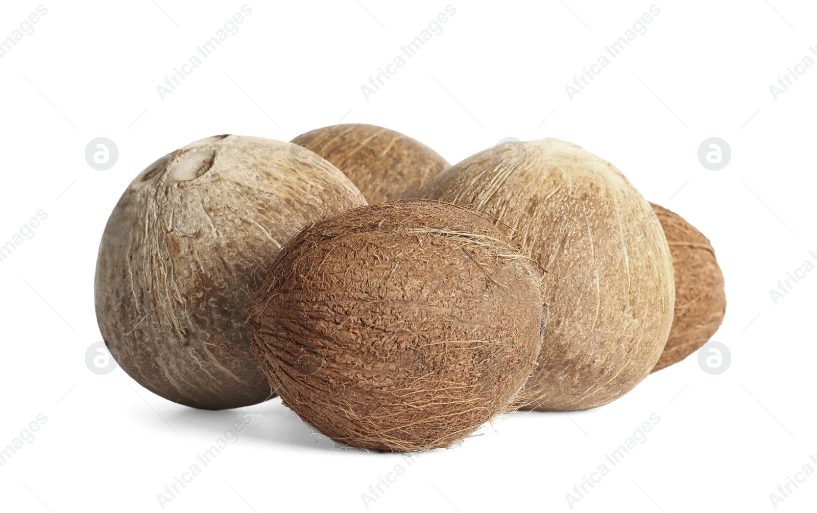 Photo of Ripe whole brown coconuts on white background