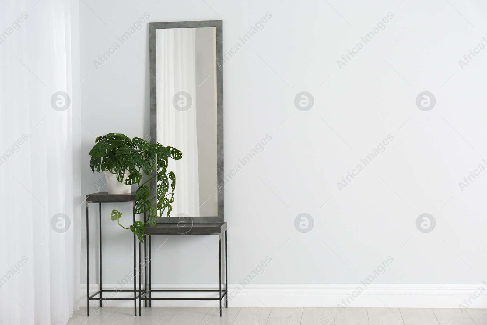 Photo of Modern interior with large mirror and monstera plant near white wall. Space for text