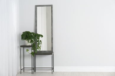 Modern interior with large mirror and monstera plant near white wall. Space for text