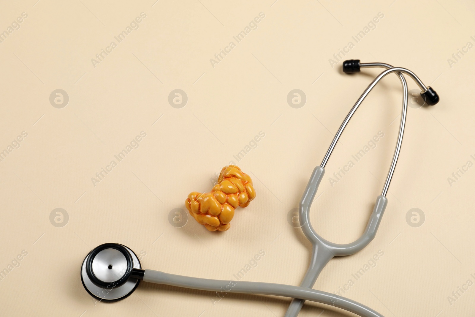 Photo of Endocrinology. Stethoscope and model of thyroid gland on beige background, top view. Space for text