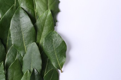 Many fresh bay leaves on white background, flat lay. Space for text