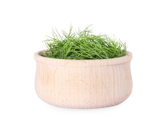 Photo of Bowl of fresh dill isolated on white