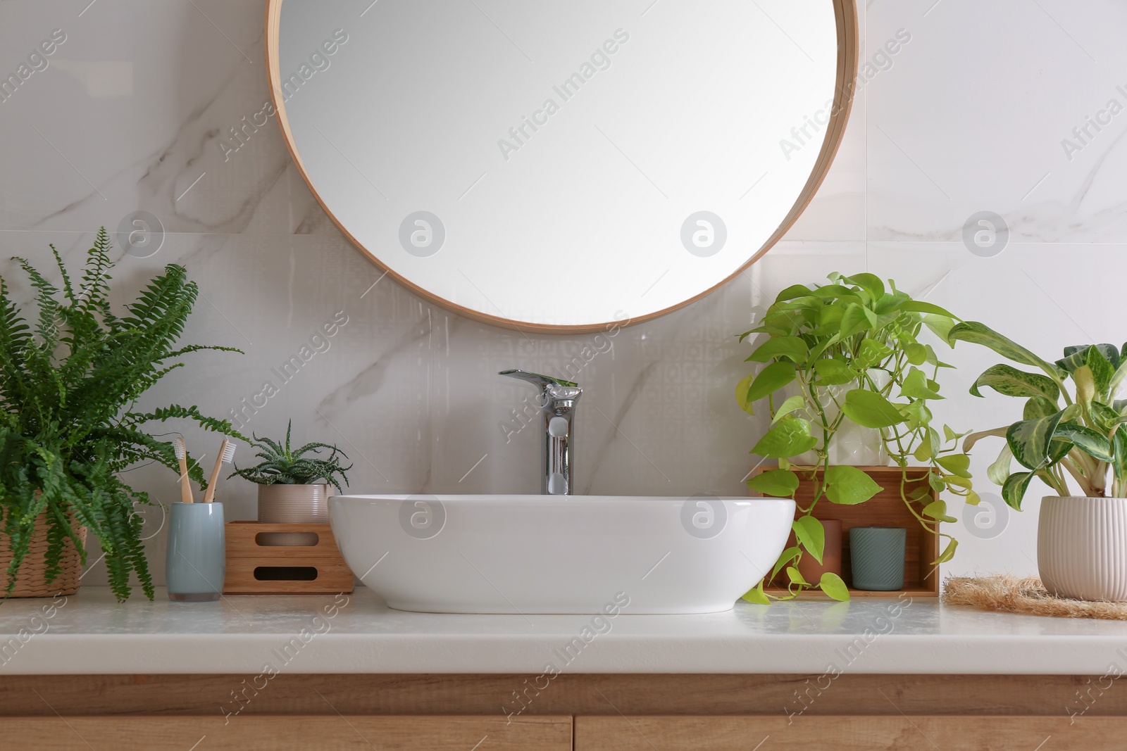 Photo of Bathroom interior with sink, beautiful green houseplants and mirror