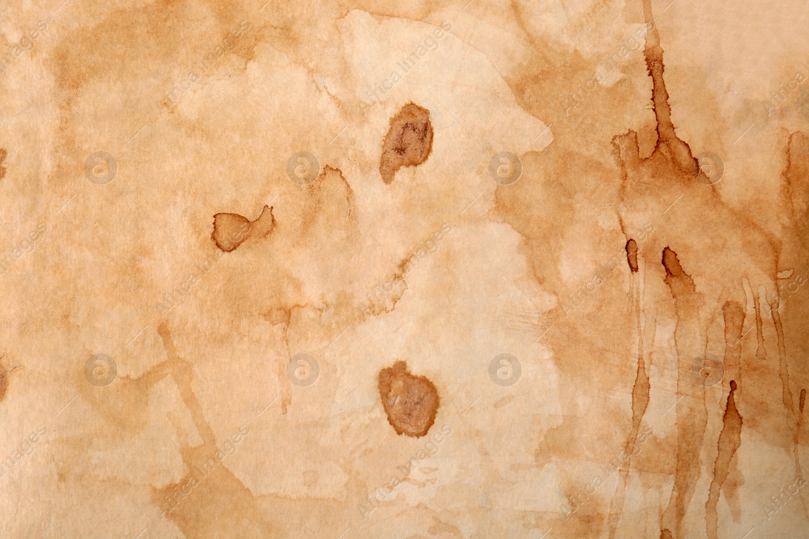 Photo of Sheet of parchment paper as background, top view