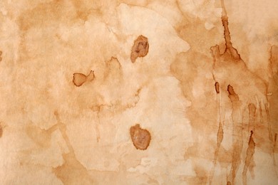 Photo of Sheet of parchment paper as background, top view