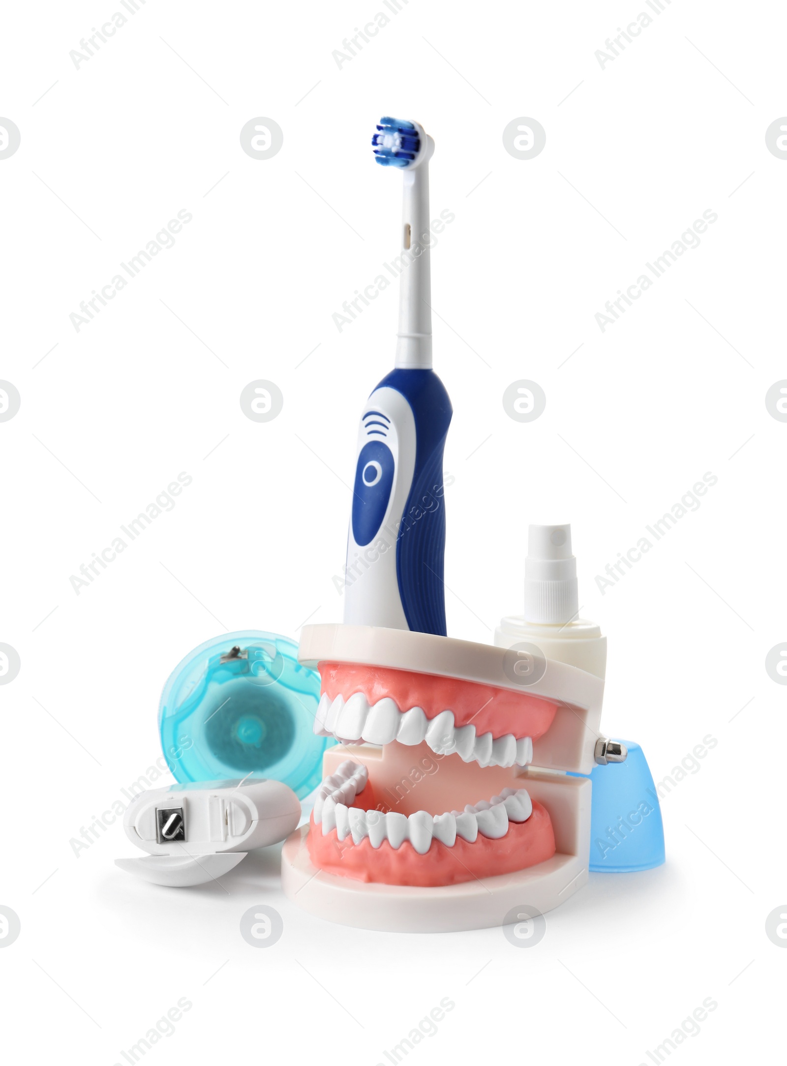 Photo of Composition with model of oral cavity and dental care items on white background. Healthy teeth