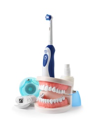 Photo of Composition with model of oral cavity and dental care items on white background. Healthy teeth