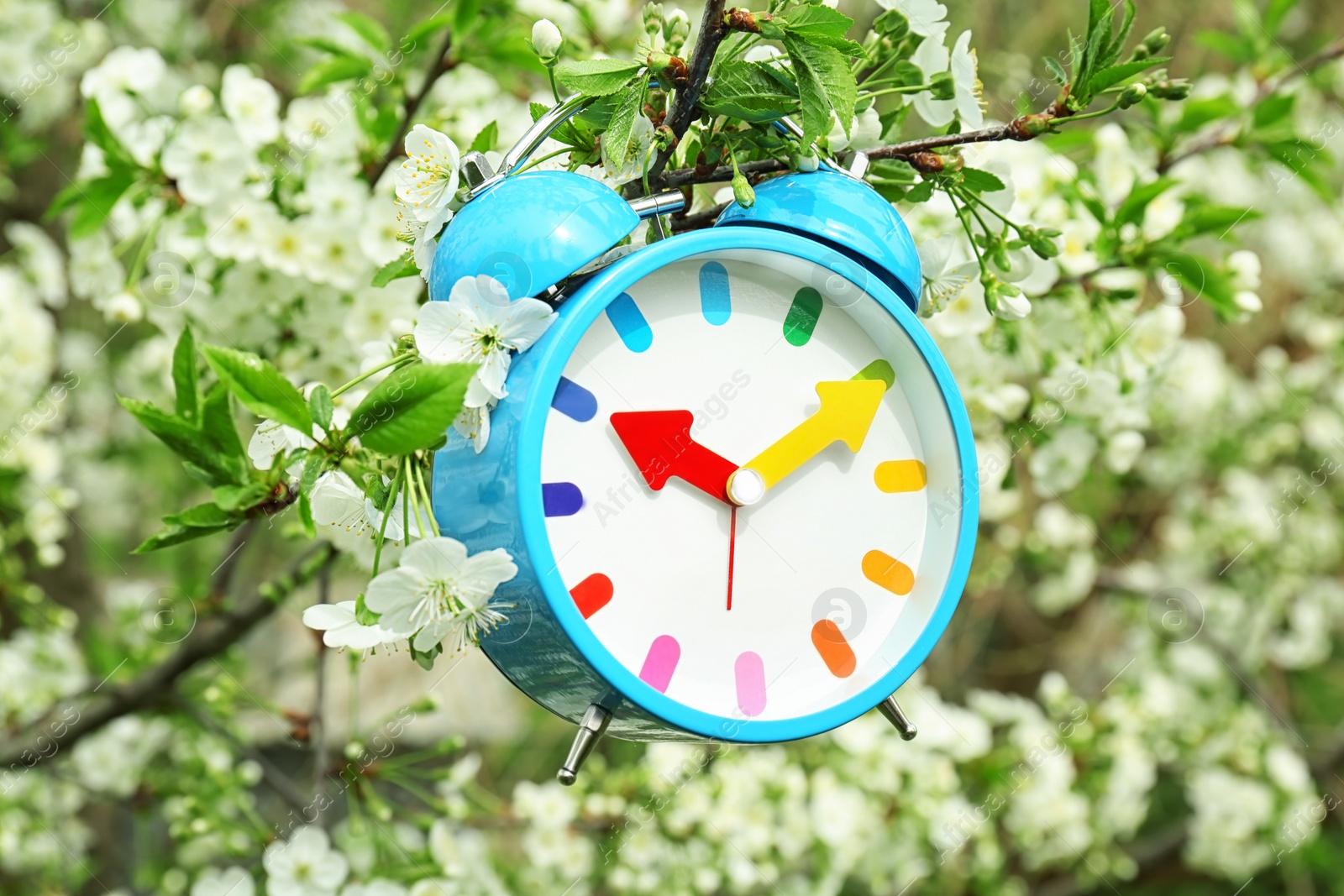 Photo of Alarm clock hanging on blossoming tree branch, outdoors. Time change concept