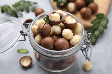 Photo of Tasty Macadamia nuts in jar on light grey table, closeup