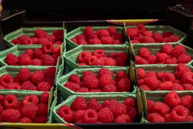 Photo of Many fresh raspberries in containers at market, closeup