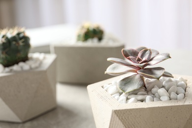 Photo of Beautiful succulent plant in stylish flowerpot on table, space for text. Home decor
