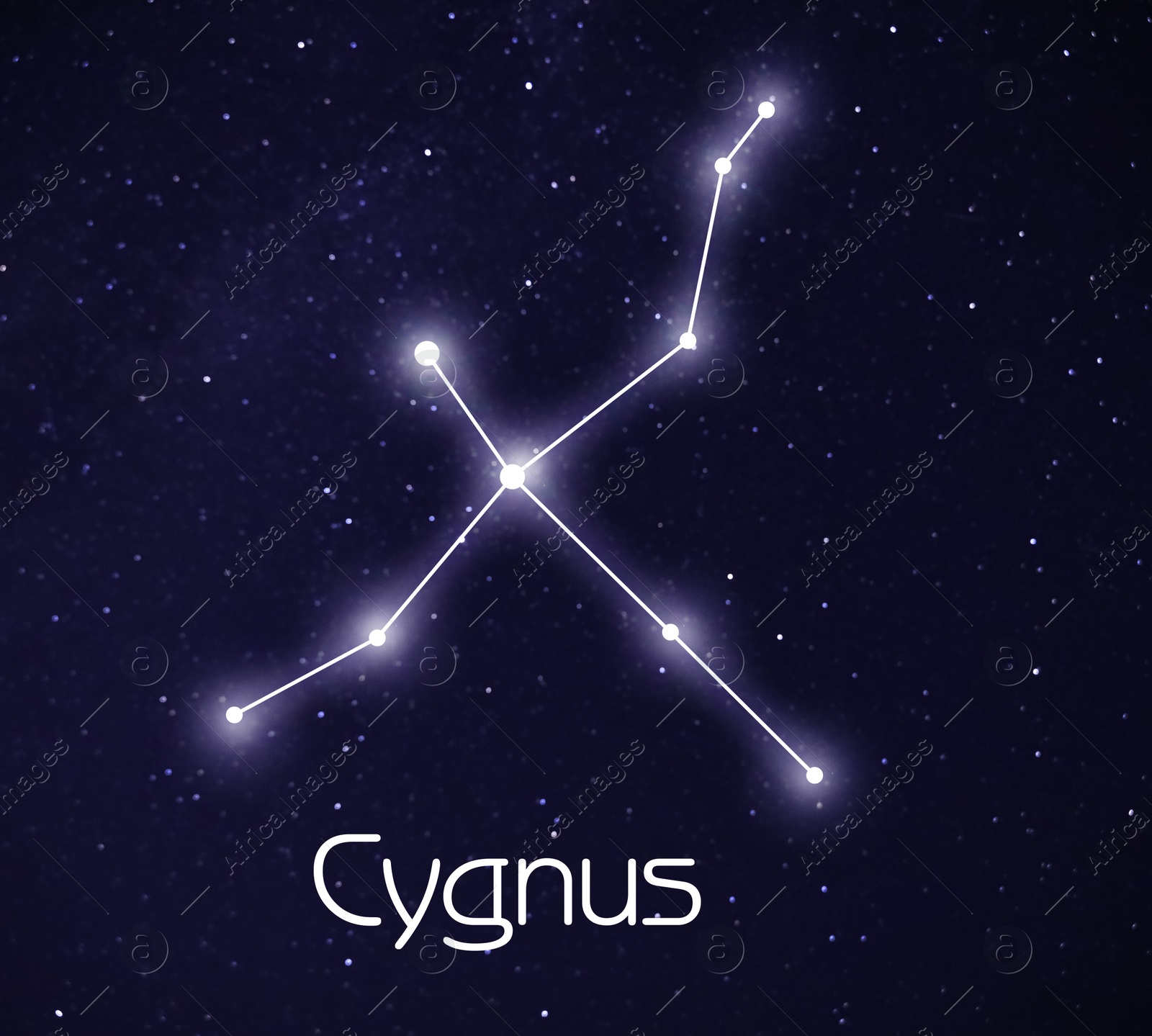 Image of Swan (Cygnus) constellation. Stick figure pattern in starry night sky