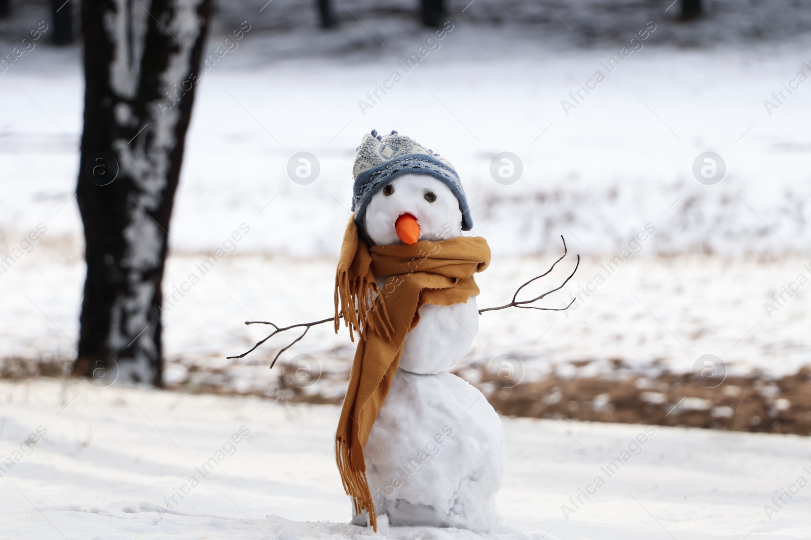 Photo of Funny snowman with scarf and hat in winter forest