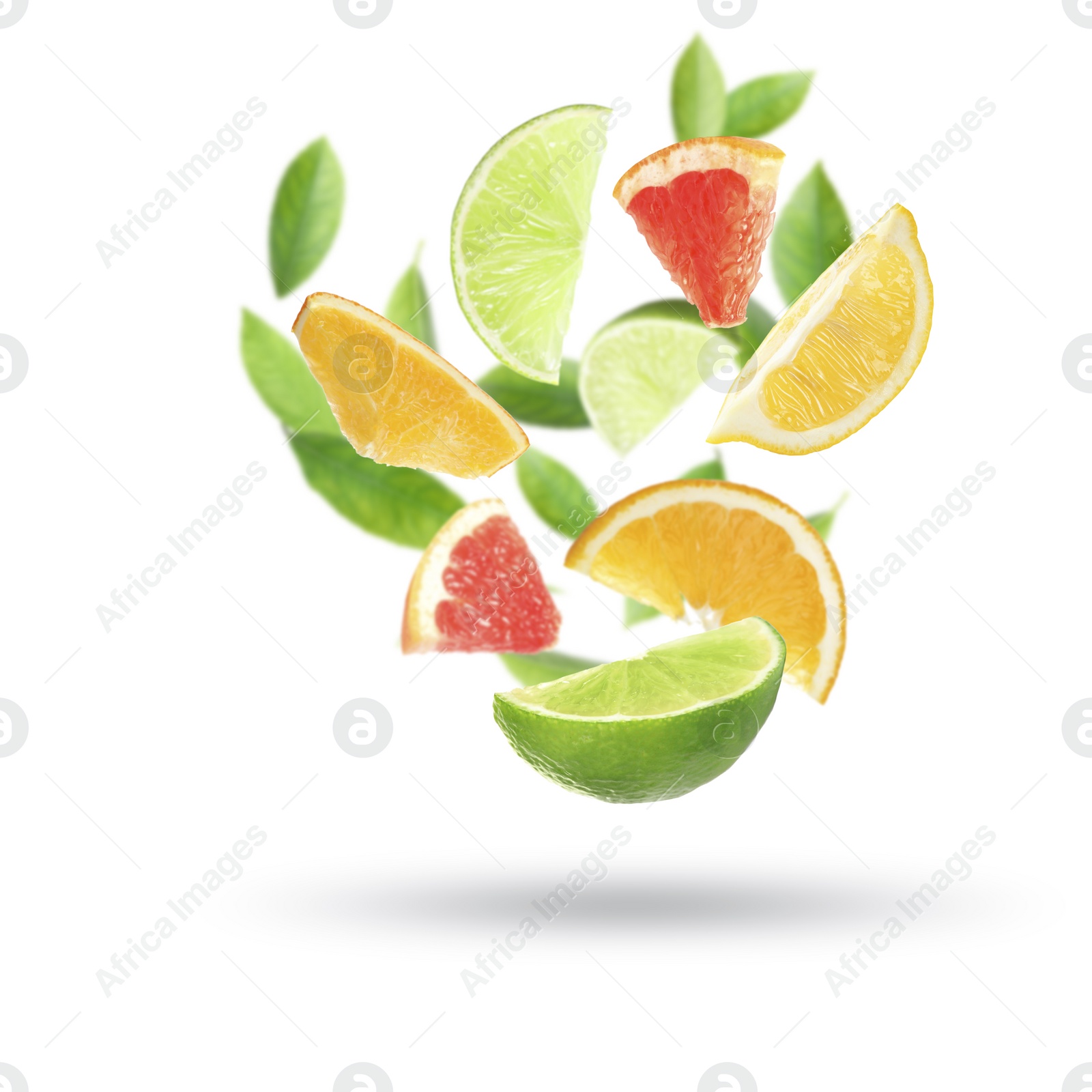 Image of Fresh juicy citrus fruits and green leaves falling on white background