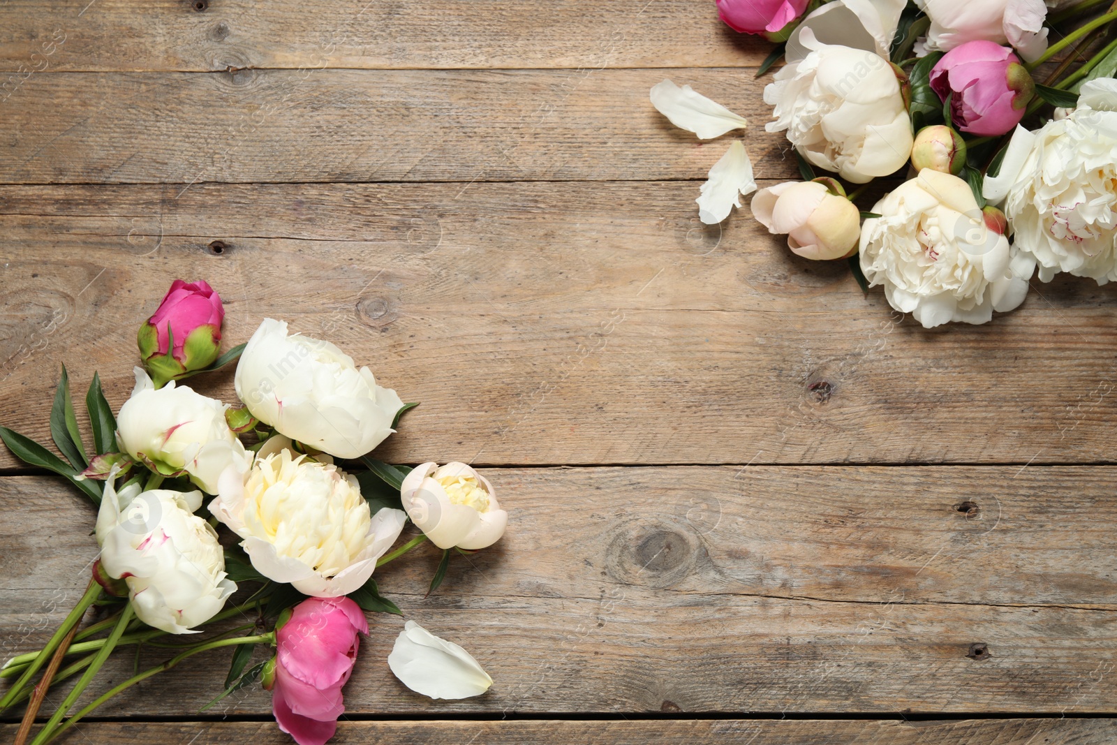 Photo of Beautiful peonies on wooden background, flat lay. Space for text