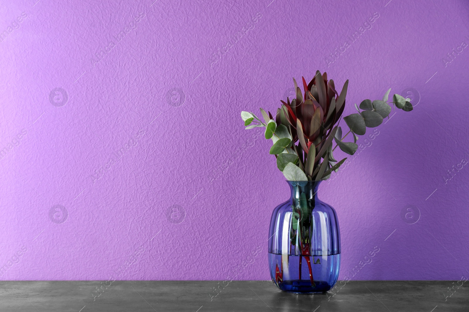 Photo of Beautiful bouquet of protea flowers and eucalyptus branches in glass vase on table against purple background