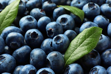 Photo of Tasty fresh blueberries with green leaves as background, closeup
