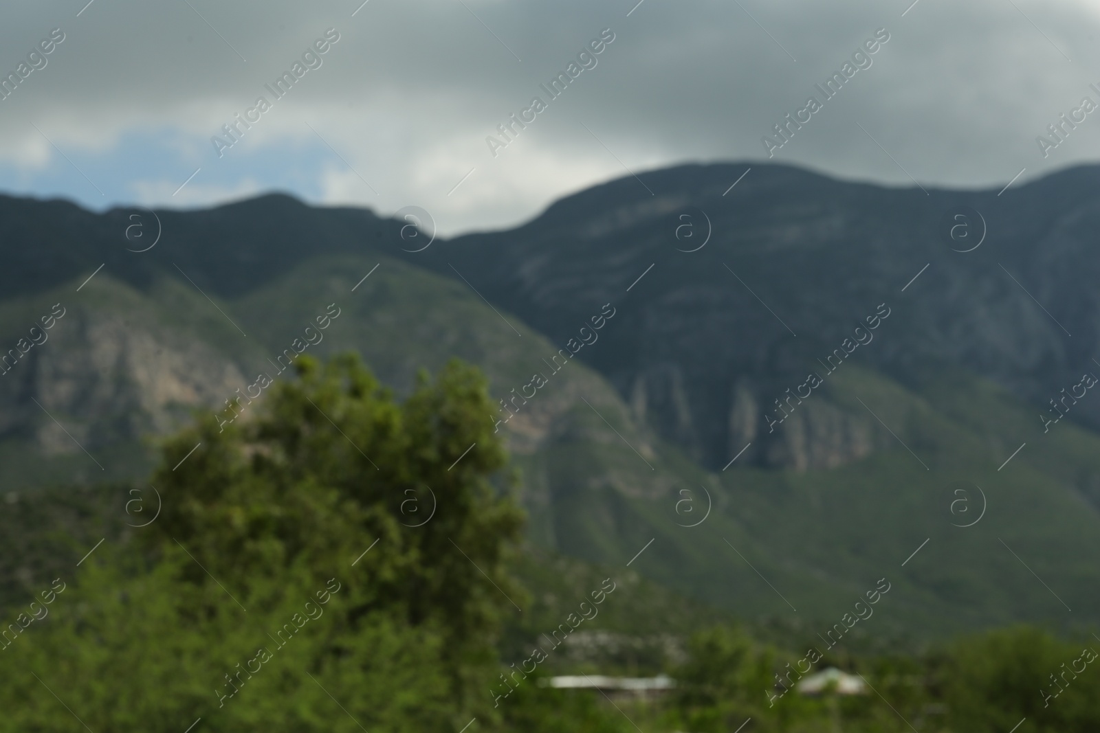 Photo of Beautiful mountain and plants under grey sky, blurred view